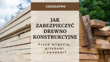 Jak zabezpieczyć drewno konstrukcyjne przed wilgocią, grzybami i owadami