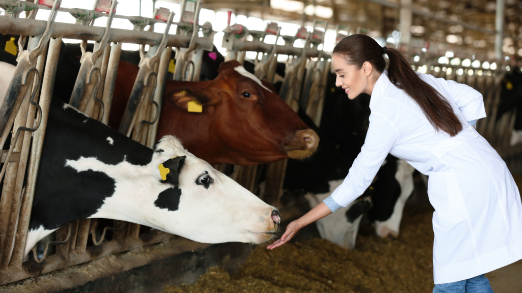 Hodowla zwierząt na wsi - gdzie znaleźć przepisy