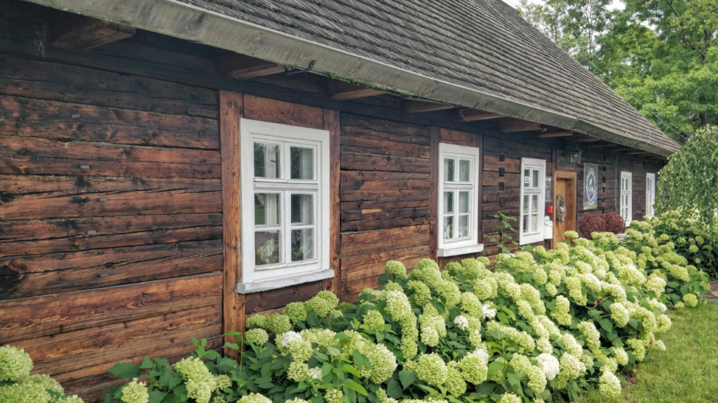 Dom jako efekt wyboru