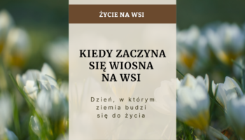 Kiedy zaczyna sie wiosna na wsi - to dzień, w którym ziemia budzi się do życia