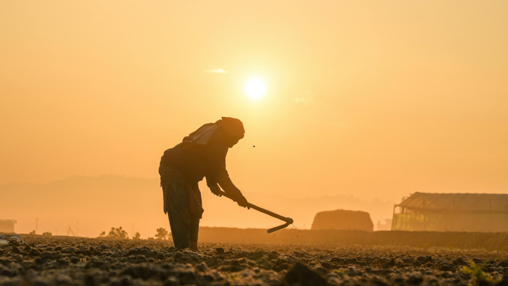 Praca fizyczna na wsi