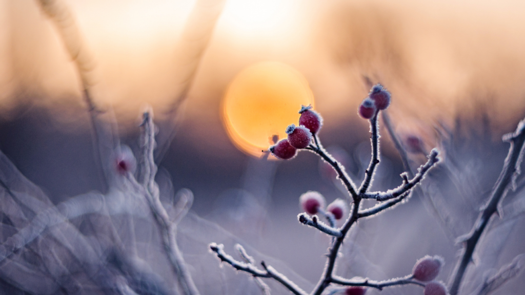 Rytm dnia podporządkowany naturze