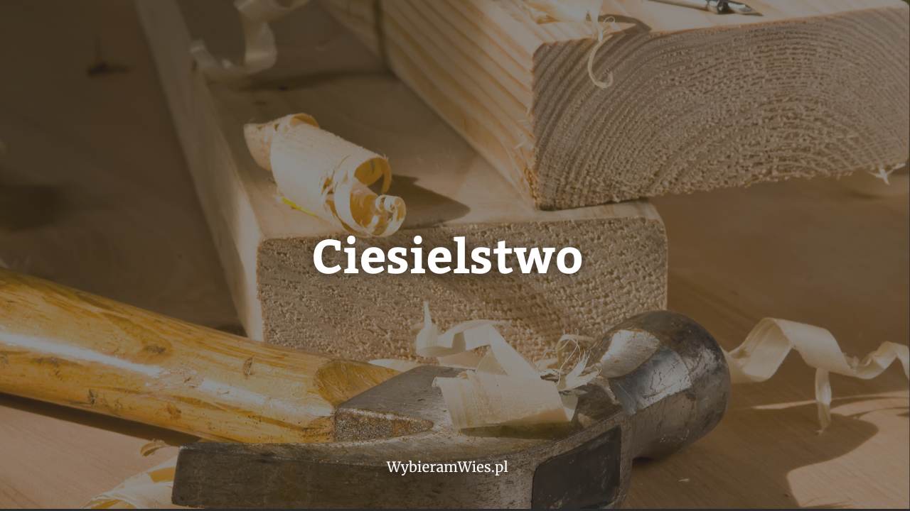 WybieramWies.pl - Ciesielstwo