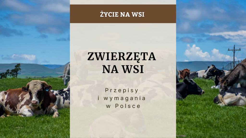Zwierzęta na wsi - przepisy i wymagania w Polsce