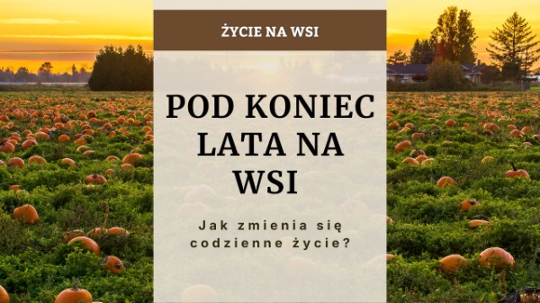 Życie na wsi pod koniec lata - jak zmienia się codzienność?