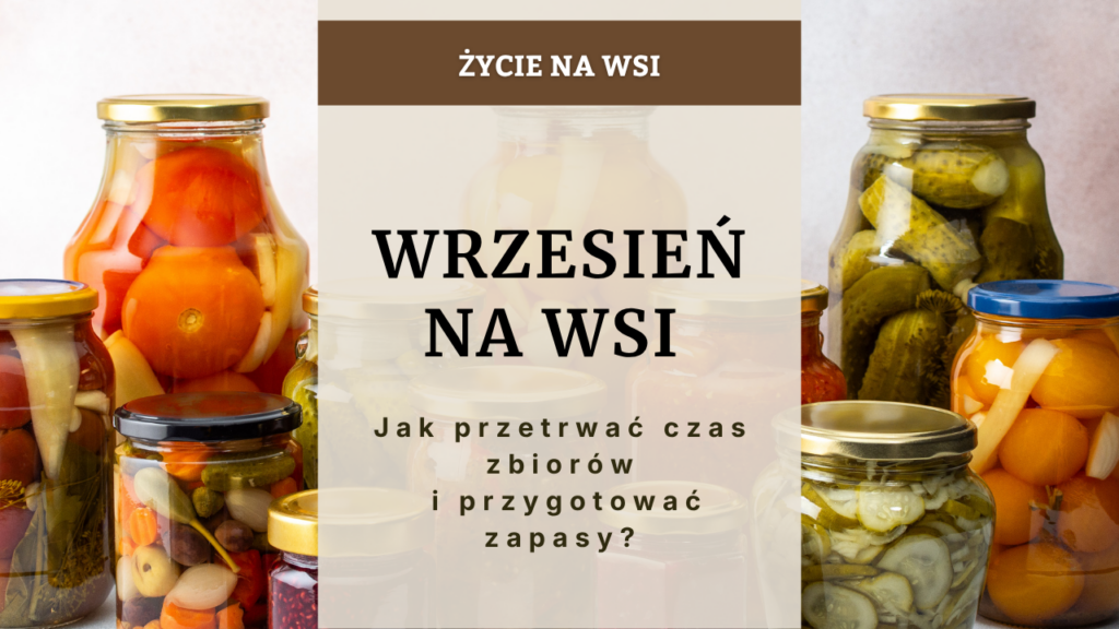 Wrzesień na wsi - jak przetrwać czas zbiorów i przygotować zapasy?