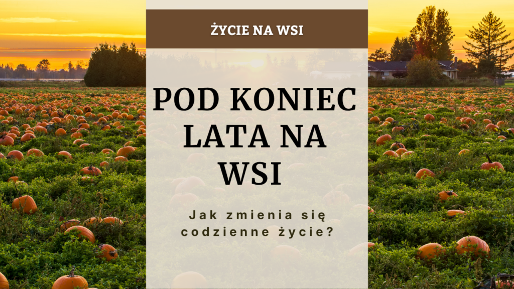 Życie na wsi pod koniec lata - jak zmienia się codzienność?
