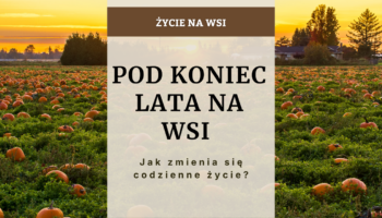 Życie na wsi pod koniec lata - jak zmienia się codzienność?
